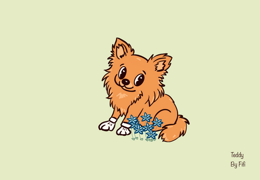 Your pet’s portrait